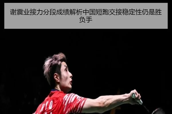 xie-zhen-ye-jie-li-fen-duan-cheng-ji-jie-xi-zhong-guo-duan-pao-jiao-jie-wen-ding-xing-reng-shi-sheng-fu-shou-2-593.jpg